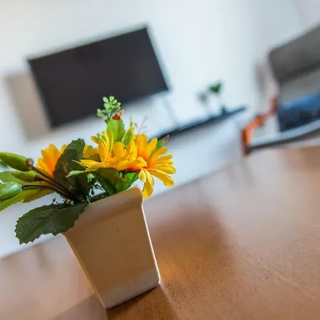 Clear View Flat 202 شقة